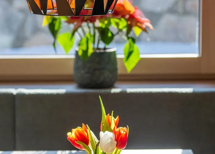 Zillertaler Hofchalets Schustererhof Διαμέρισμα